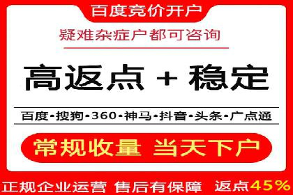百度SEM竞价推广，案例解析转化率提升秘诀